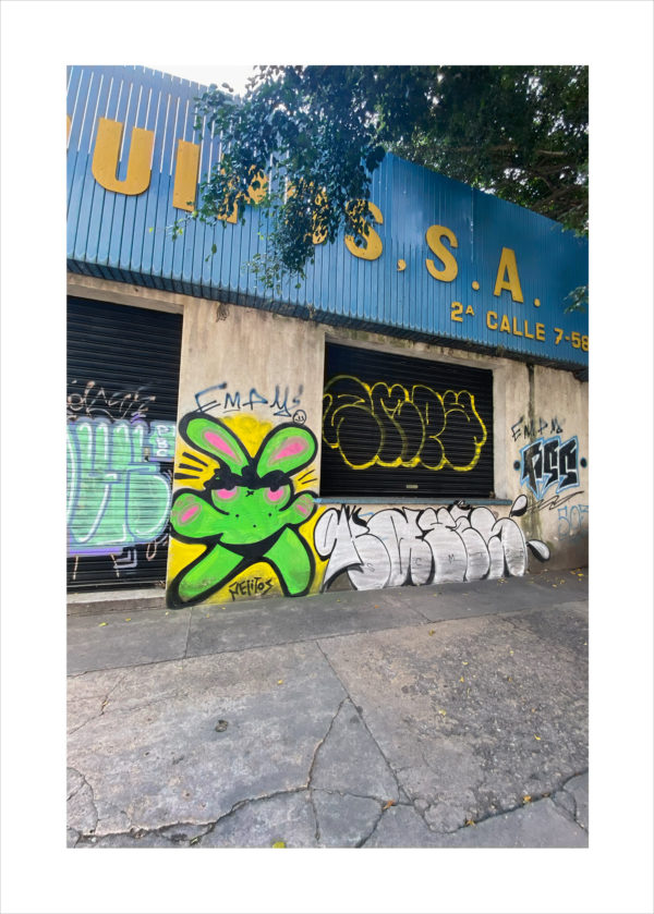 Sin nombre (#11)