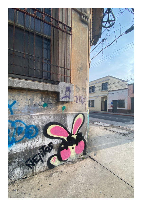 Sin nombre (#14)