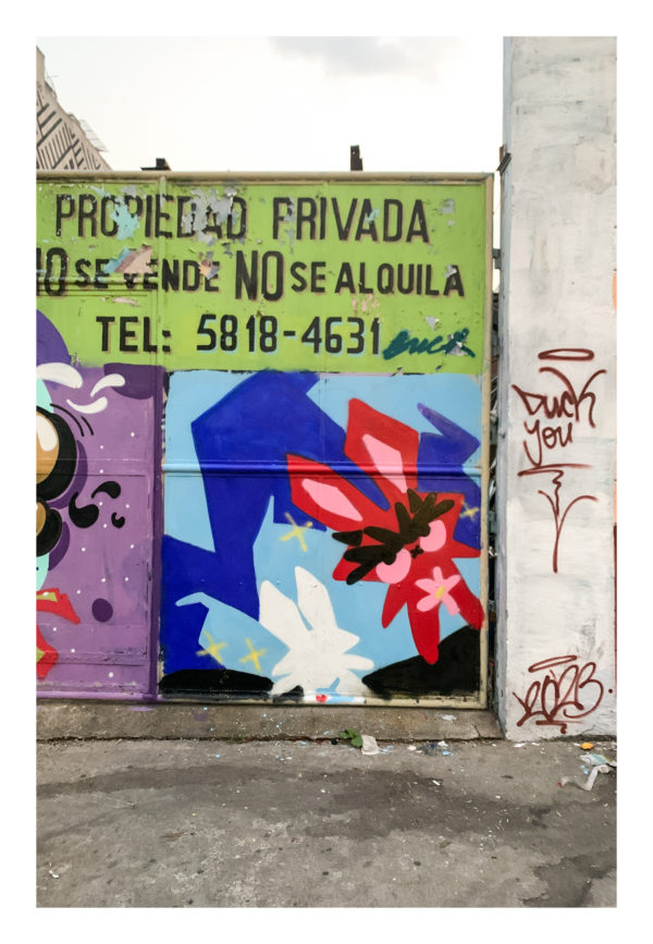 Sin nombre (#21)