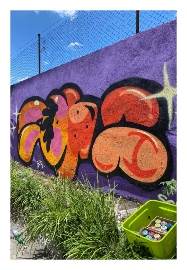 Sin nombre (#22)
