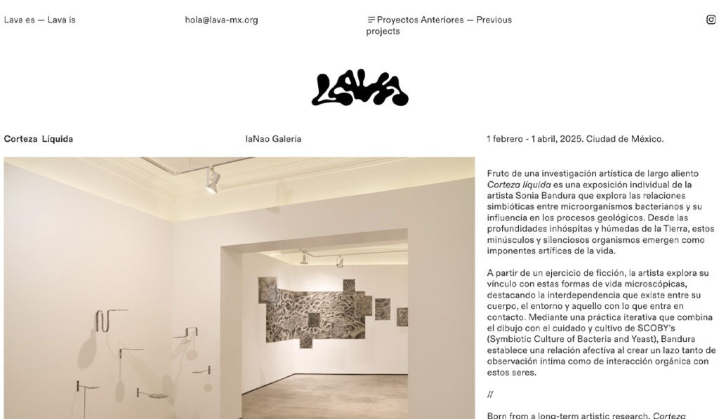 Los Mejores Sitios de Galerías en México / Club de Diseño Web / 11 de febrero
