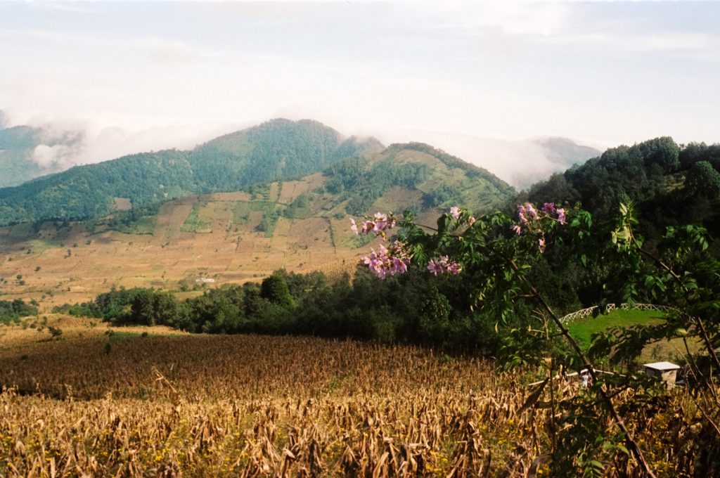 Devenir — obra de Jose Jiménez