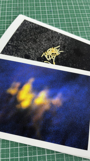 Sobre de 3 Postales: Archivo #1