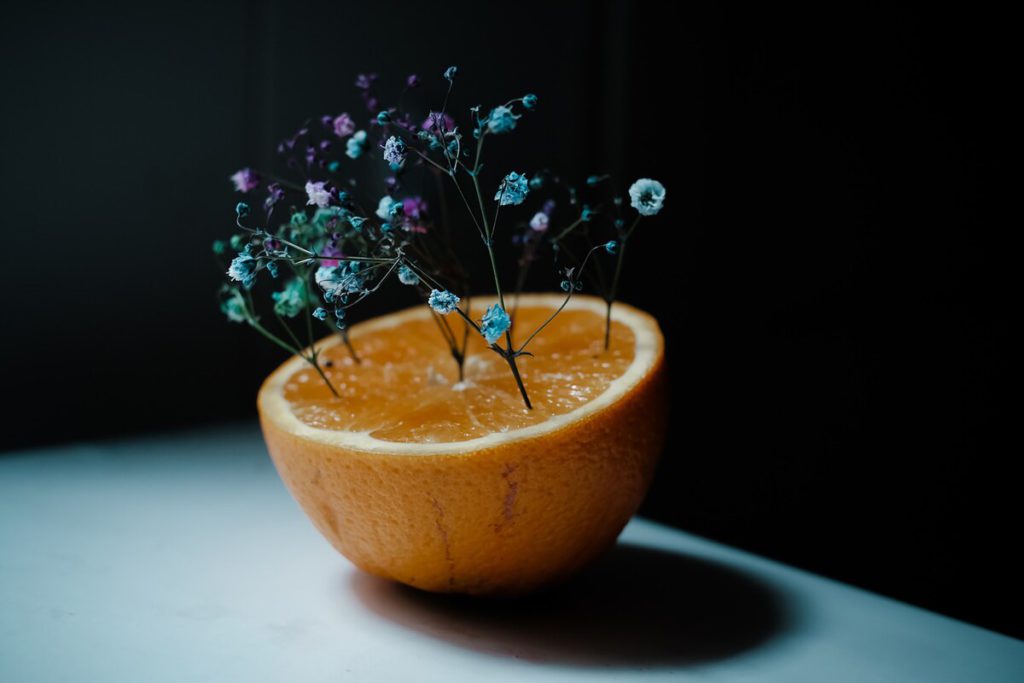 Renacer — obra de Daniela Olave
