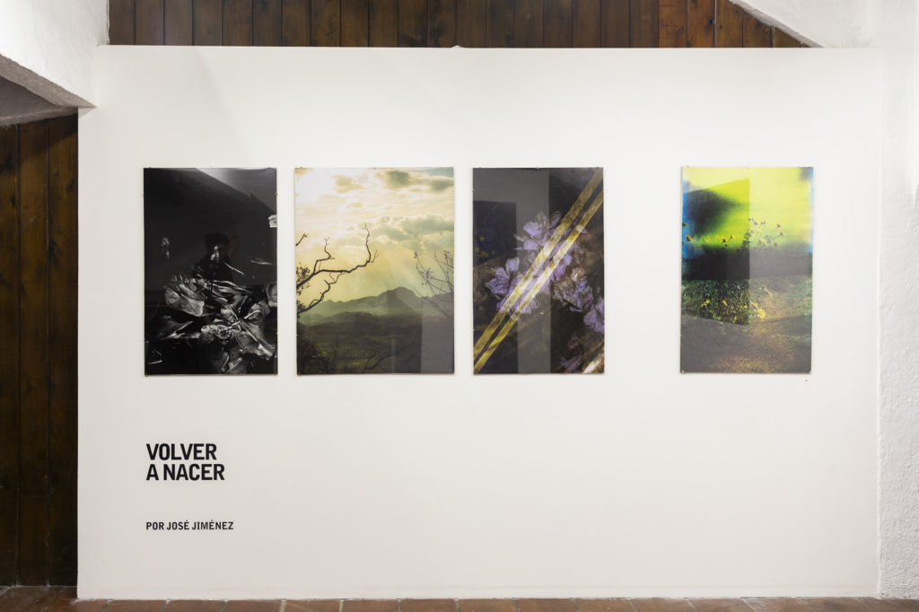 Vista de sala de la exhibición Volver a Nacer de José Jiménez en Tanta Dinamita