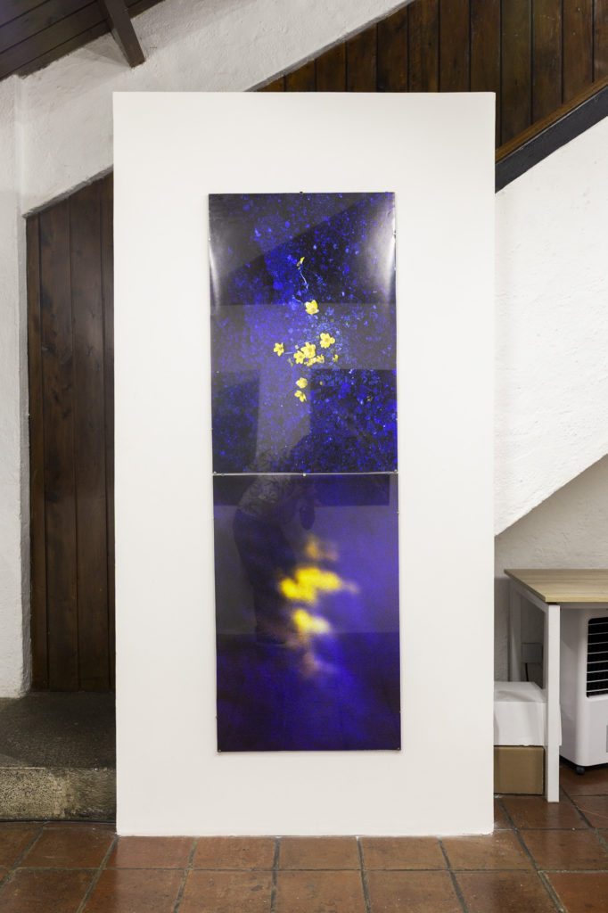 Vista de sala de la exhibición Volver a Nacer de José Jiménez en Tanta Dinamita
