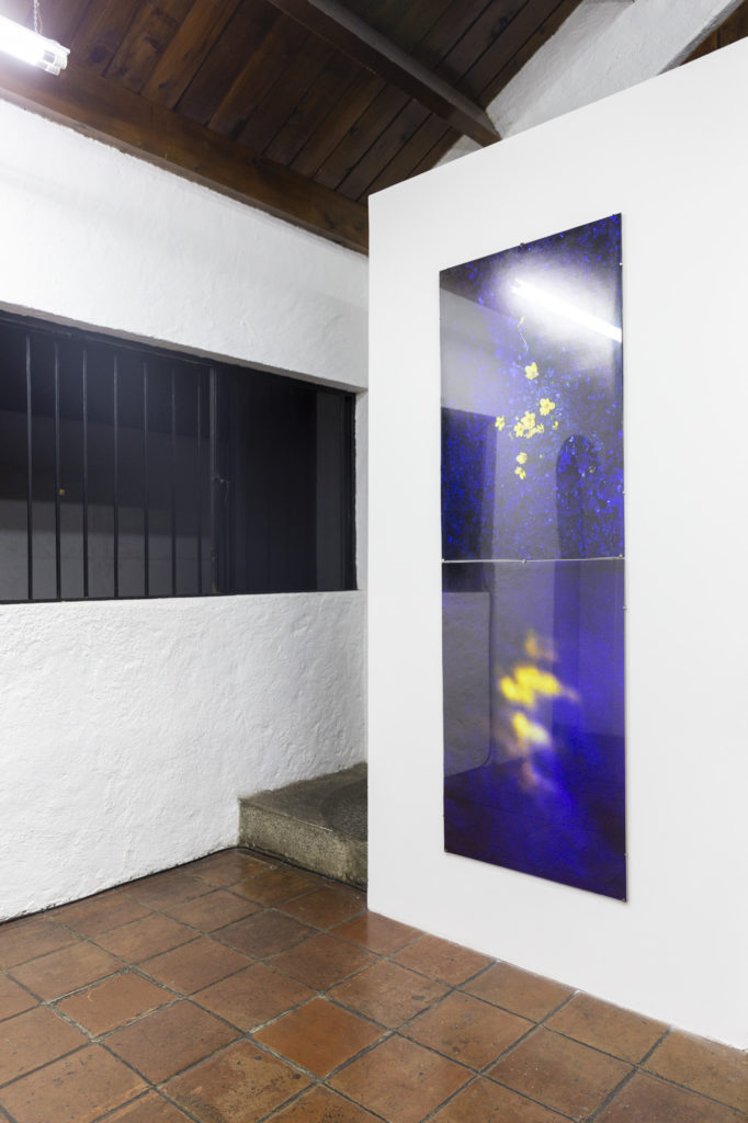 Vista de sala de la exhibición Volver a Nacer de José Jiménez en Tanta Dinamita