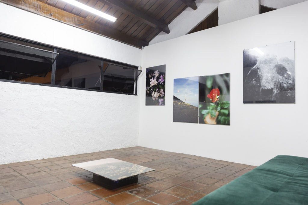 Vista de sala de la exhibición Volver a Nacer de José Jiménez en Tanta Dinamita