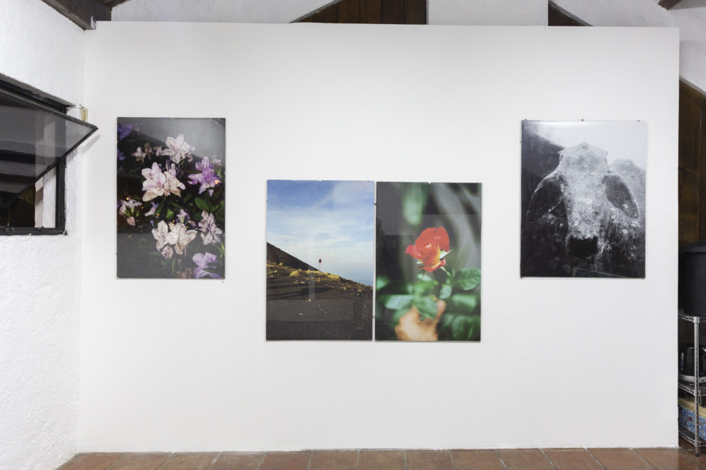 Vista de sala de la exhibición Volver a Nacer de José Jiménez en Tanta Dinamita