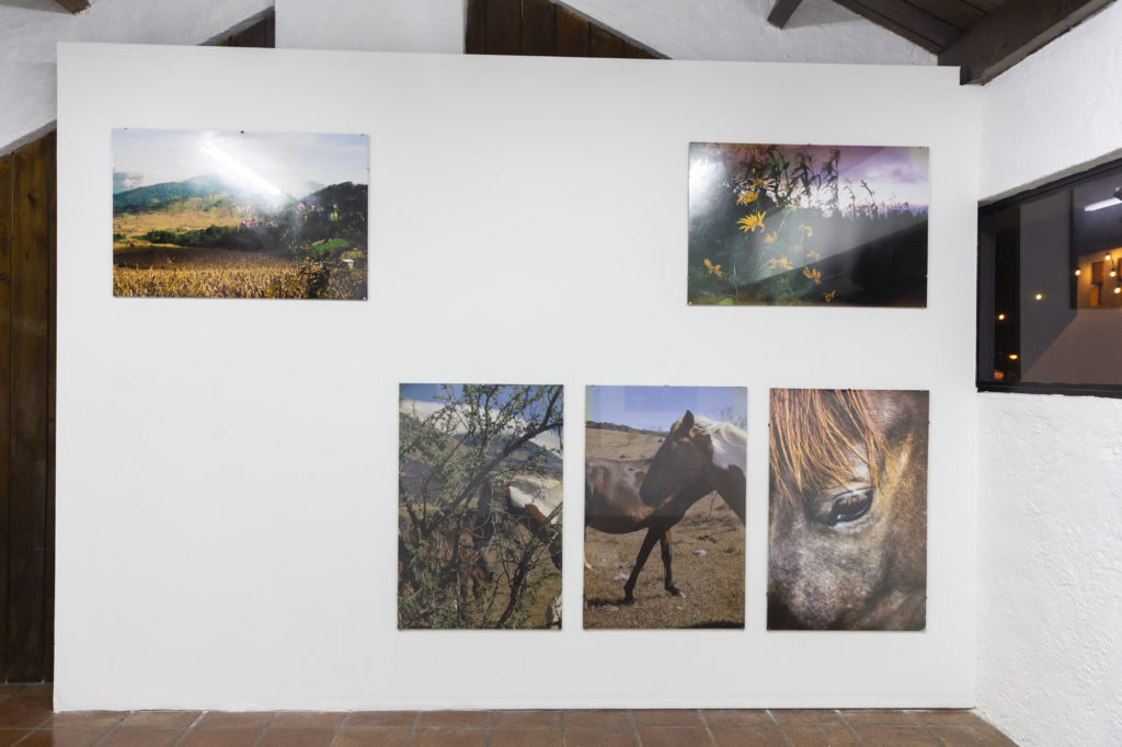 Vista de sala de la exhibición Volver a Nacer de José Jiménez en Tanta Dinamita