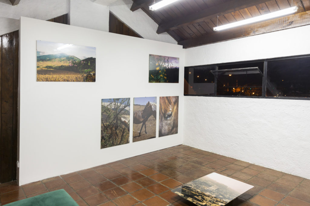 Vista de sala de la exhibición Volver a Nacer de José Jiménez en Tanta Dinamita
