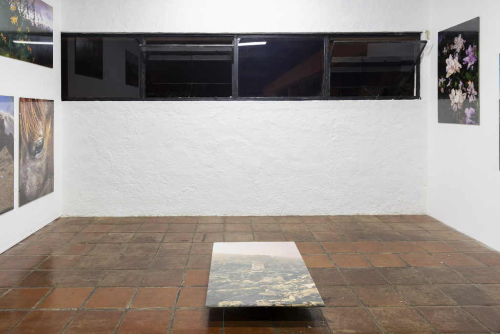 Vista de sala de la exhibición Volver a Nacer de José Jiménez en Tanta Dinamita